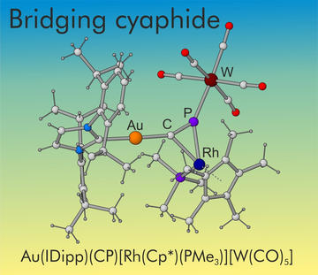 Revealing the Role of the Cyaphide Ion as a Bridging Ligand in Heterometallic Complexes